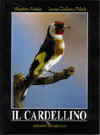 Il_Cardelino2.jpg (19896 bytes)